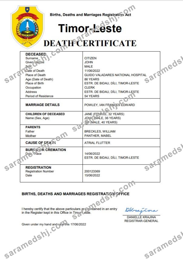 Timor-Leste vital record death certificate Word and PDF template